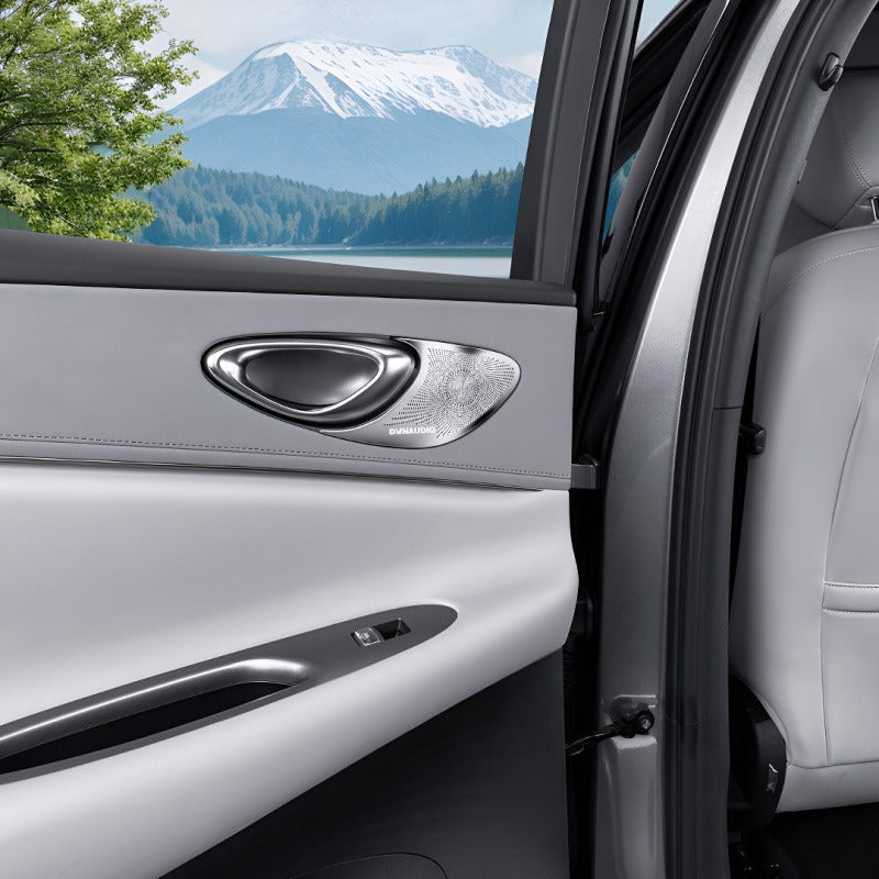 Metal Rear Speaker Covers for 2026 BYD Sealion 06 | Interior Trim 2pcs