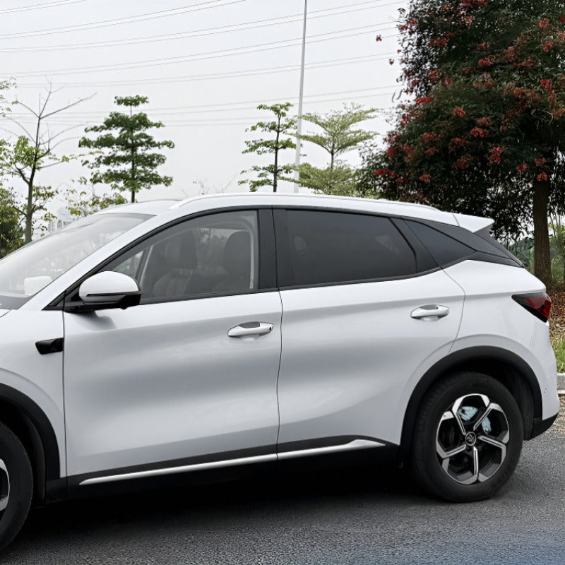 Window Trim Blackout Kit for 2026 BYD Atto 3